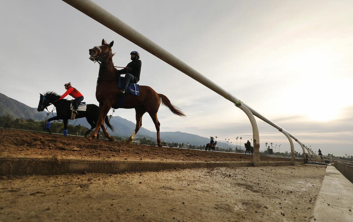 ARCADIA, CA - MARCH 11, 2019 Riders, jockeys and horses return to training on the Santa Anita Park track Monday morning March 11, 2019 as the thoroughbred racetrack in Arcadia is analyzing recent deaths of horses during training on the track. Santa Anita had canceled racing to re-examine its dirt surface after the deaths of 21 horses in the last two months. (Al Seib / Los Angeles Times)