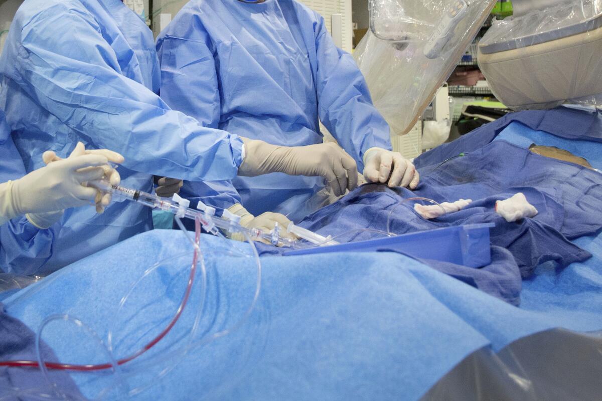 Surgeons perform angioplasty