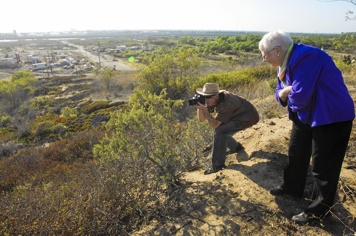 Jim Kane photographs a plant called a bladder pod as California Coastal Commissioner Carole Groom watches during a field trip in June 2014 for coastal commissioners, staff and the public of the site of a proposed development at Banning Ranch.