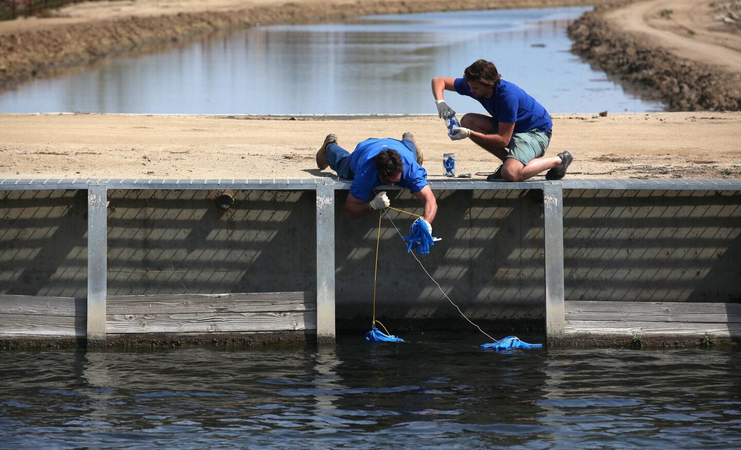 Scott Smith, chief scientist at Water Defense, left, and assistant Skye Wallin retrieve foam sponges which were deployed to absorb test water from a canal in the Cawelo Water District near Bakersfield.