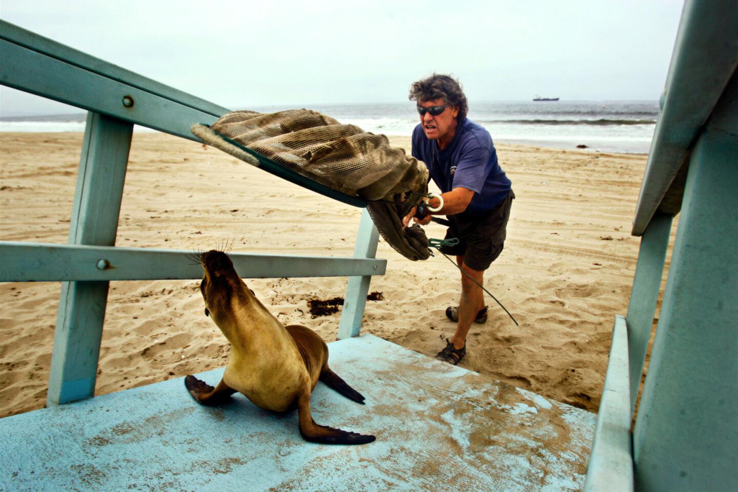 Altered Oceans: Part Four: Plague of Plastic Chokes the Seas - Los Angeles  Times