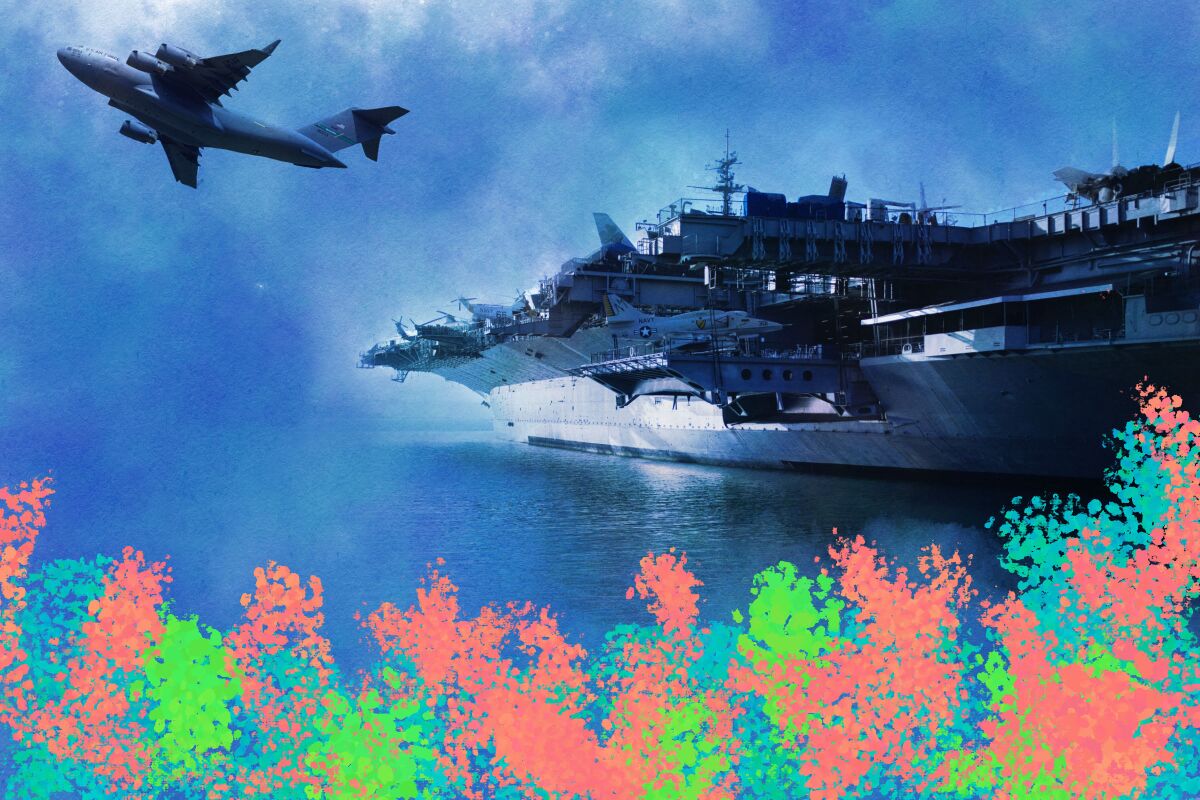 Coral reef drawn over an image of a military ship and plane