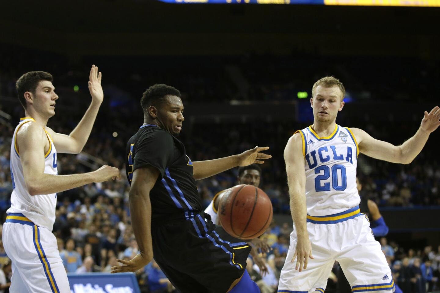 UCLA guard Bryce Alford steals the ball from Gauchos forward Jalen Canty during first half action at Pauley Pavilion.