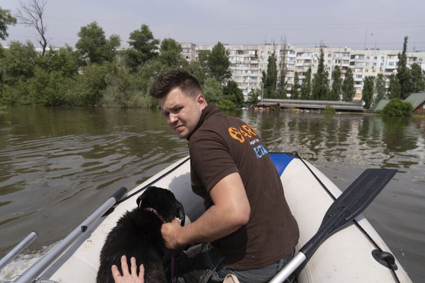 An animal rescue team on a boat with a rescued dog in the flooded area after the dam collapse in Kherson, Ukraine, Thursday, June 8, 2023. (AP Photo/Vasilisa Stepanenko)