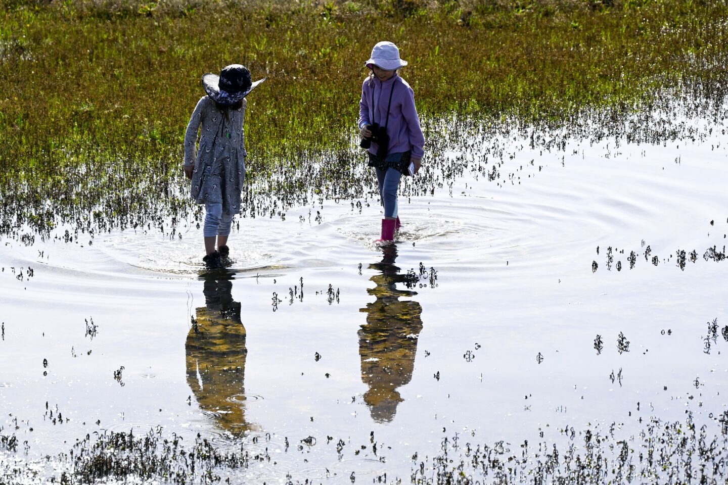 Matilda, 7, left, and Lexi, 7, explore the Kendall-Frost Mission Bay Marsh Reserve as part of San Diego Community Climate Action Day Feb. 4, 2023.