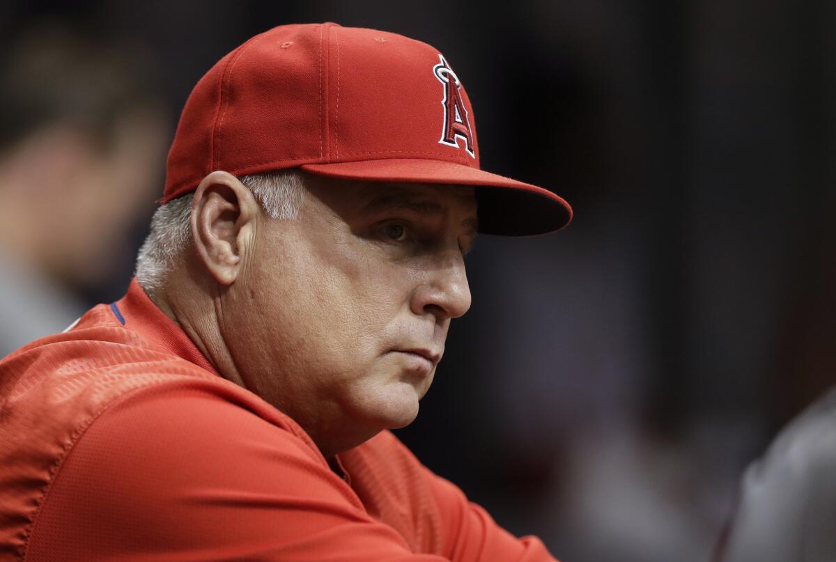 Los Angeles Angels manager Mike Scioscia during the first inning of a baseball game against the Tampa Bay Rays Wednesday, Aug. 1, 2018, in St. Petersburg, Fla.