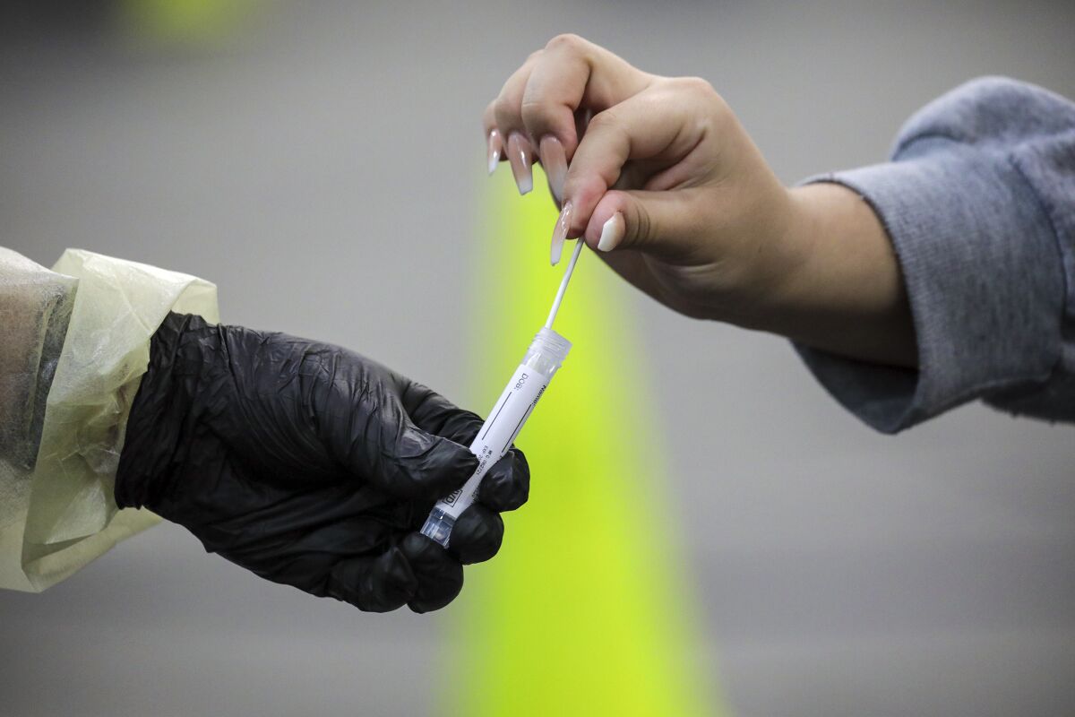 A gloved hang collects a swab from another hand