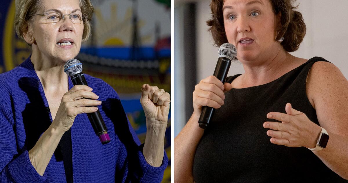 A senadora Elizabeth Warren apoiou a ex-deputada Katie Porter para governador