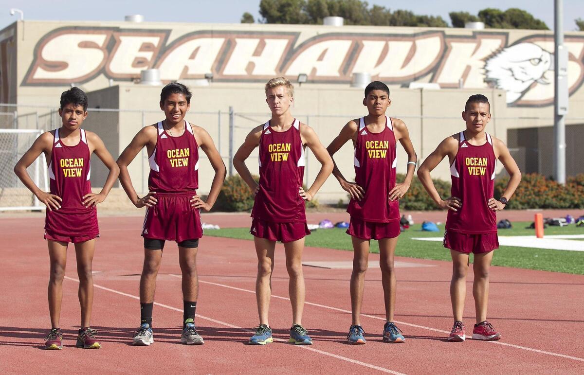 The Ocean View High boys’ cross country team has become one of the top teams in Orange County. From left, David Brito, Edwin Montes, Ryan St. Pierre, Hector Arteaga, and Jesus G. Fuentes at Ocean View High.