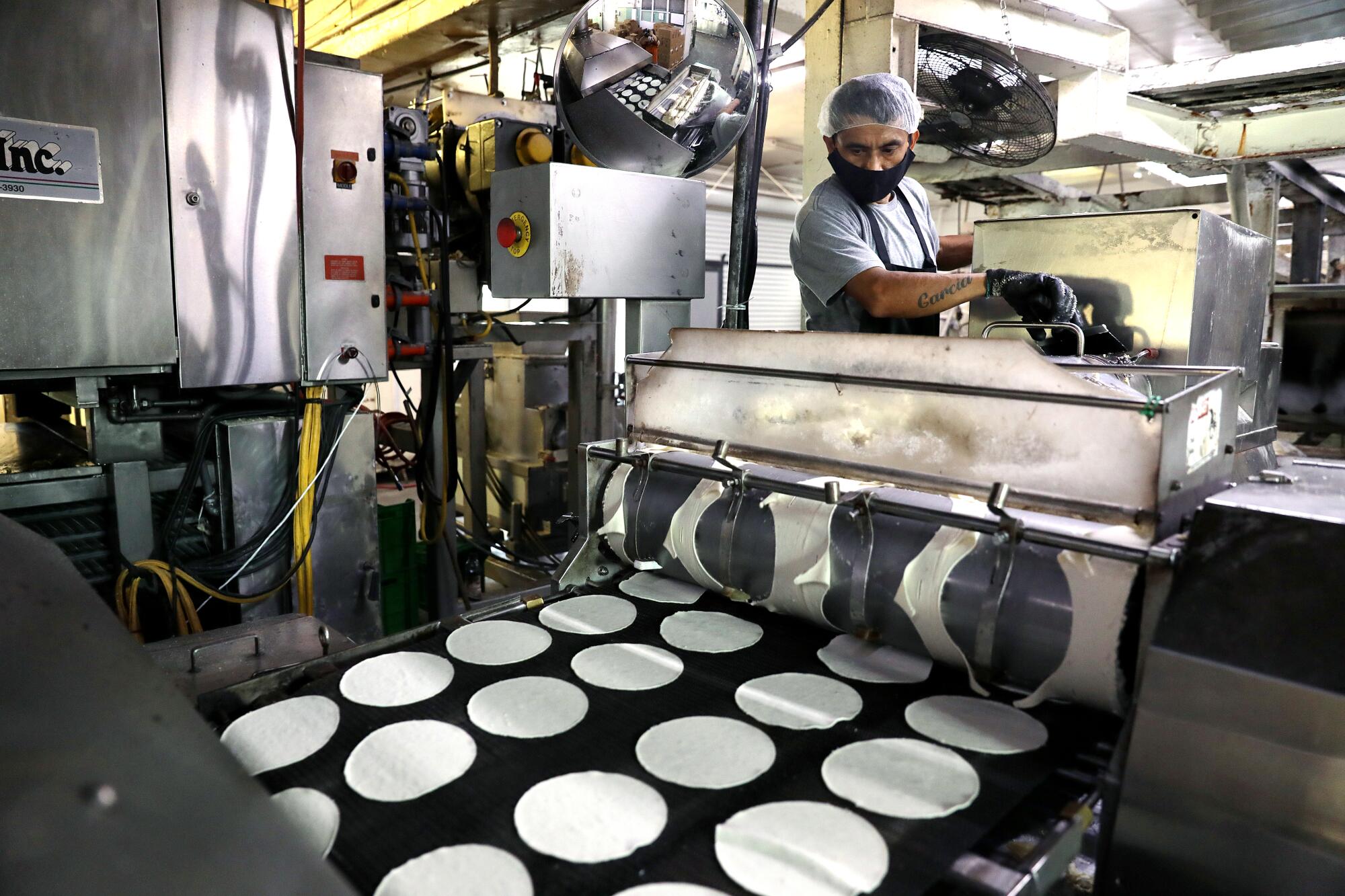 A man operates a machine that produces tortillas in a factory