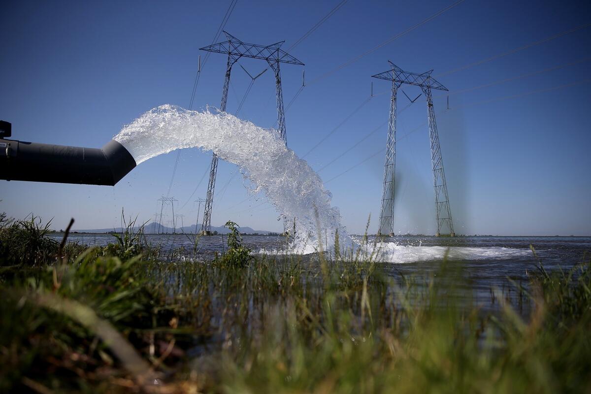 Water is pumped into a field that will be planted with rice on May 8 in Biggs, Calif. As California enters its fourth year of severe drought, a lack of water has rice farmers cutting back on their annual plantings.