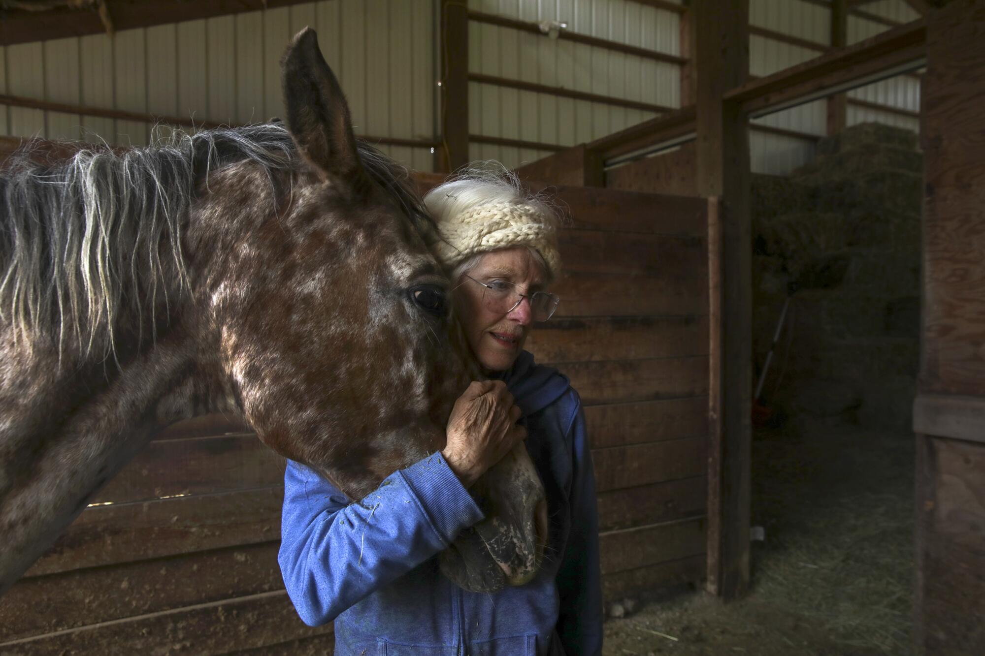 A woman holds the head of a horse 