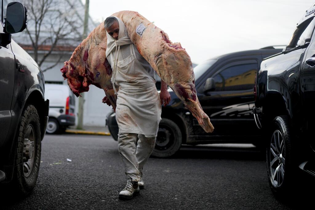 Un carnicero carga un ternero muerto 