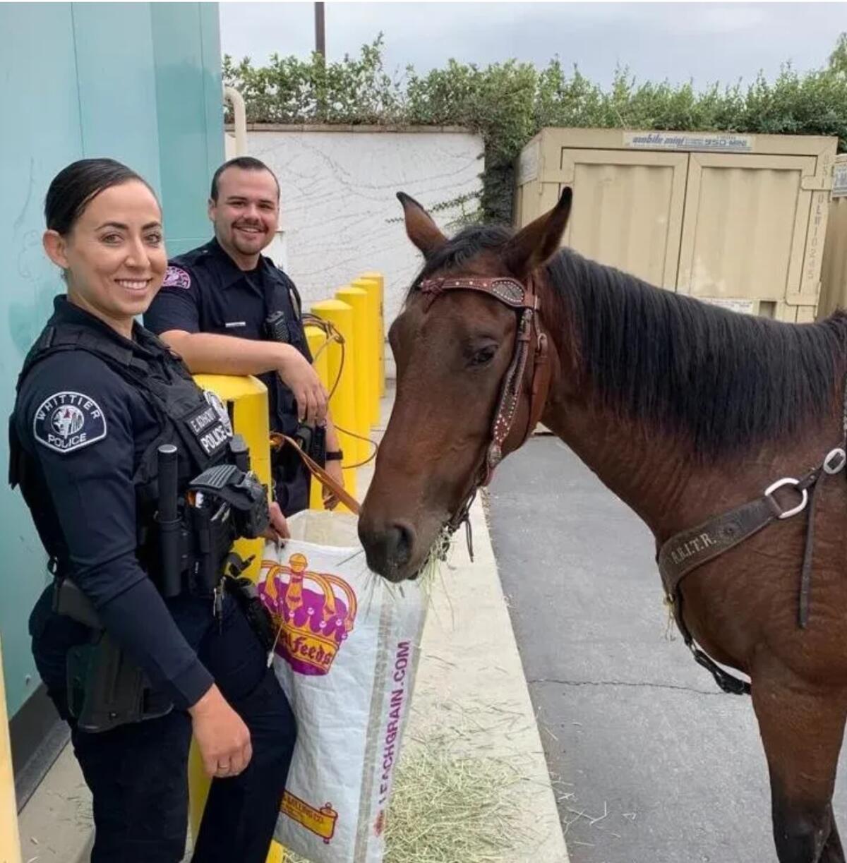 Two police officers smile next to a horse.