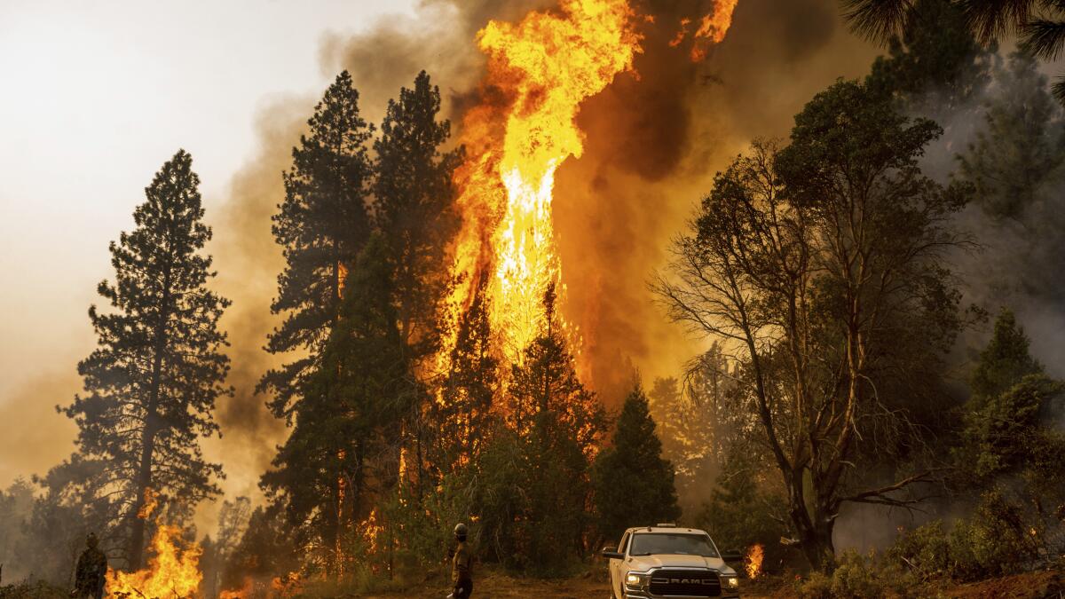 Almost 40% of western wildfires traced to carbon emissions - Los Angeles  Times