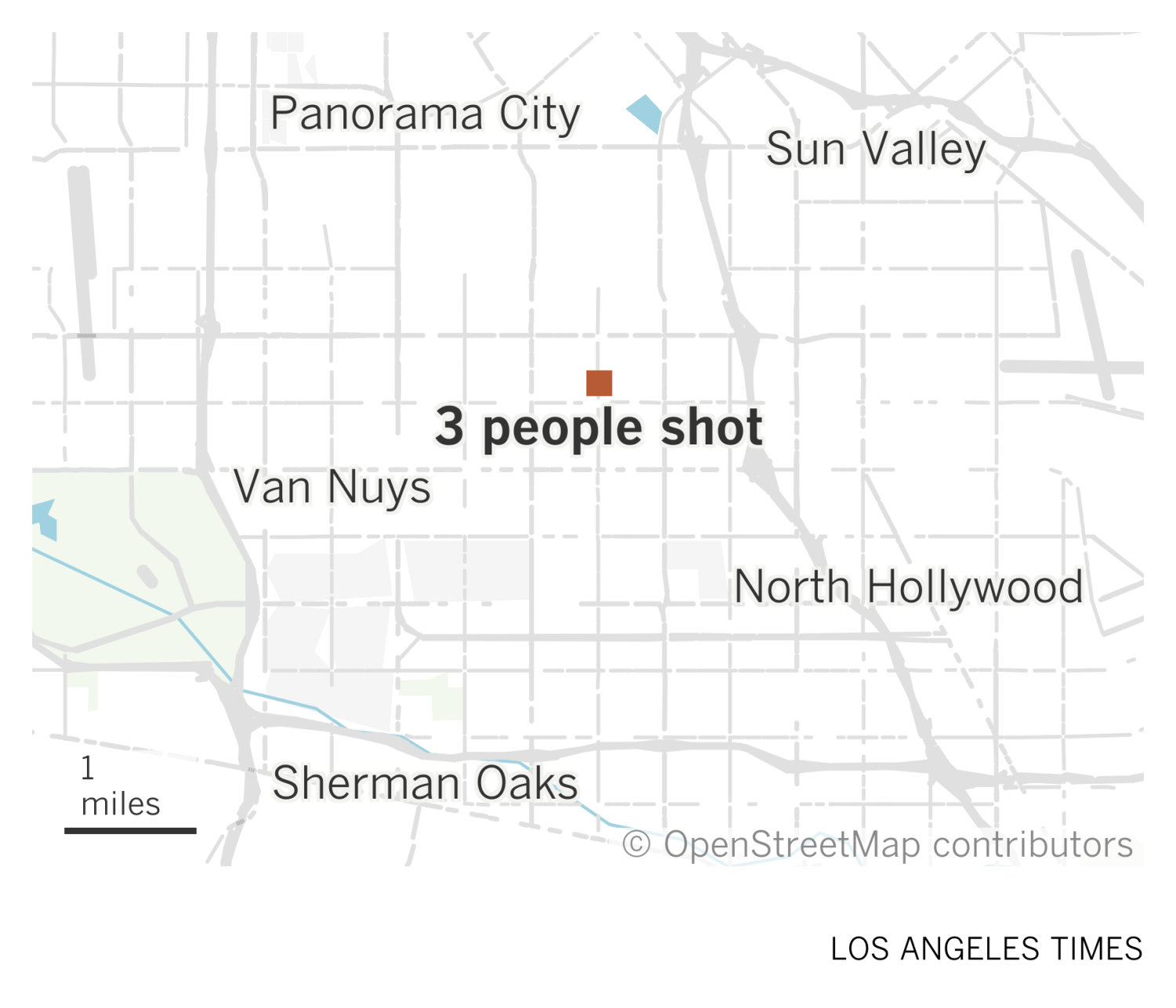 1 tewas, 2 luka-luka dalam penembakan Valley Glen