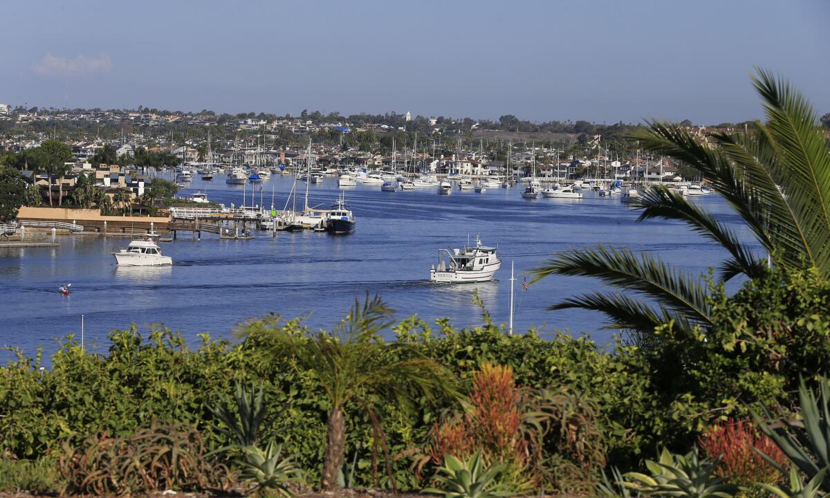 A man's body was found floating in Newport Harbor on Monday morning. Above, the harbor in September.