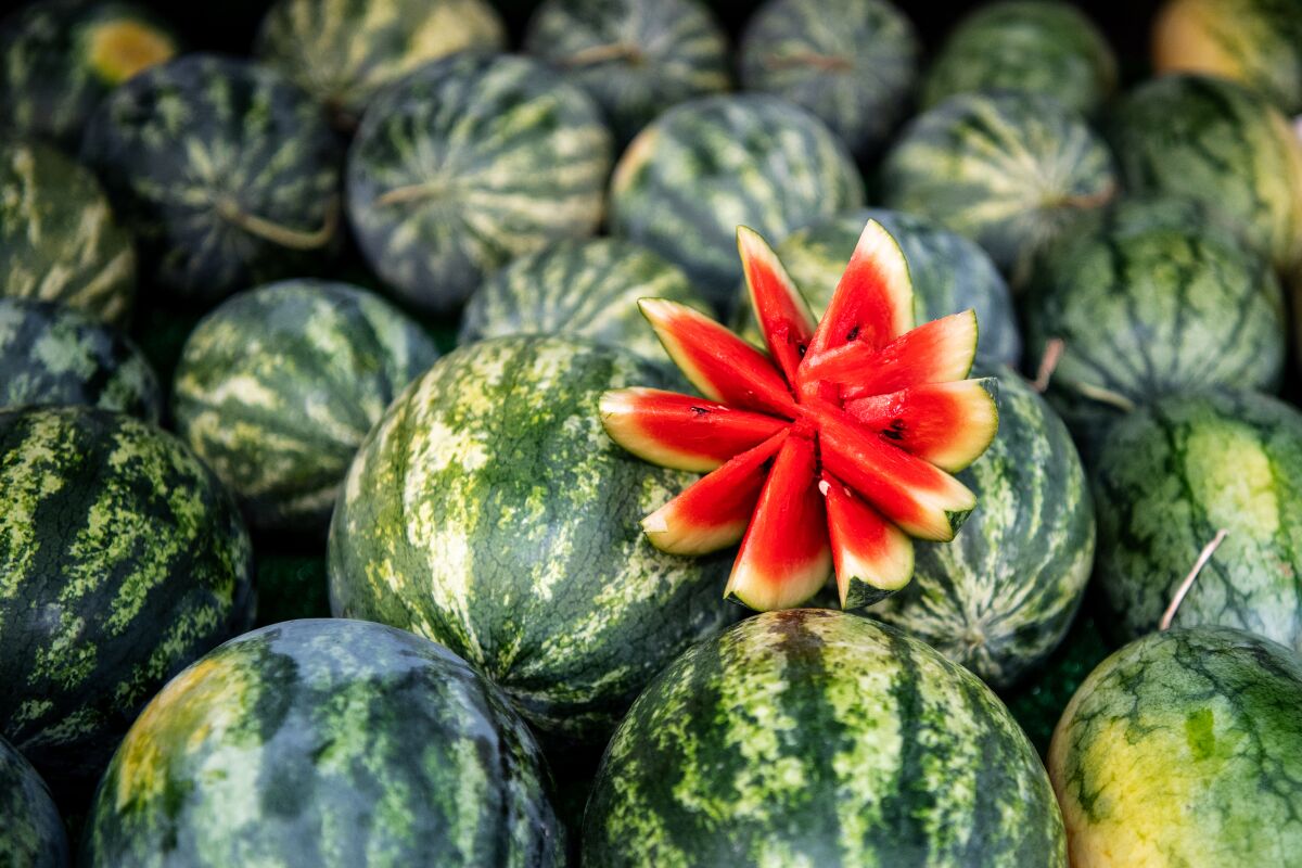 Watermelon on display at the Santa Monica Farmers Market.