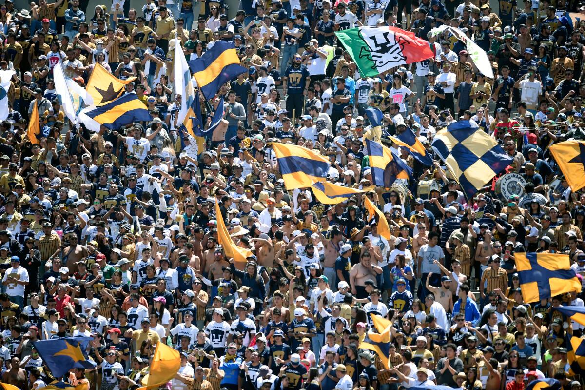 Pumas fans cheer during a Mexican Apertura 2019 tournament football match against Necaxa at the Olimpico Universitario stadium on July 28, 2019, in Mexico City. (Photo by ALFREDO ESTRELLA / AFP) (Photo credit should read ALFREDO ESTRELLA/AFP via Getty Images)