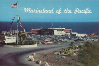 Postcard shows entrance to Marineland, with 1950s-era cars in the parking lot and the blue ocean in the background