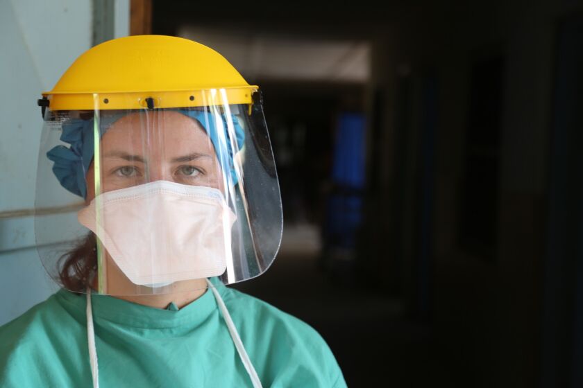 Erica Ollmann Saphire, researcher at the Scripps Research Institute in La Jolla, has turned to a crowdfunding appeal to raise money to help find a cure for Ebola.