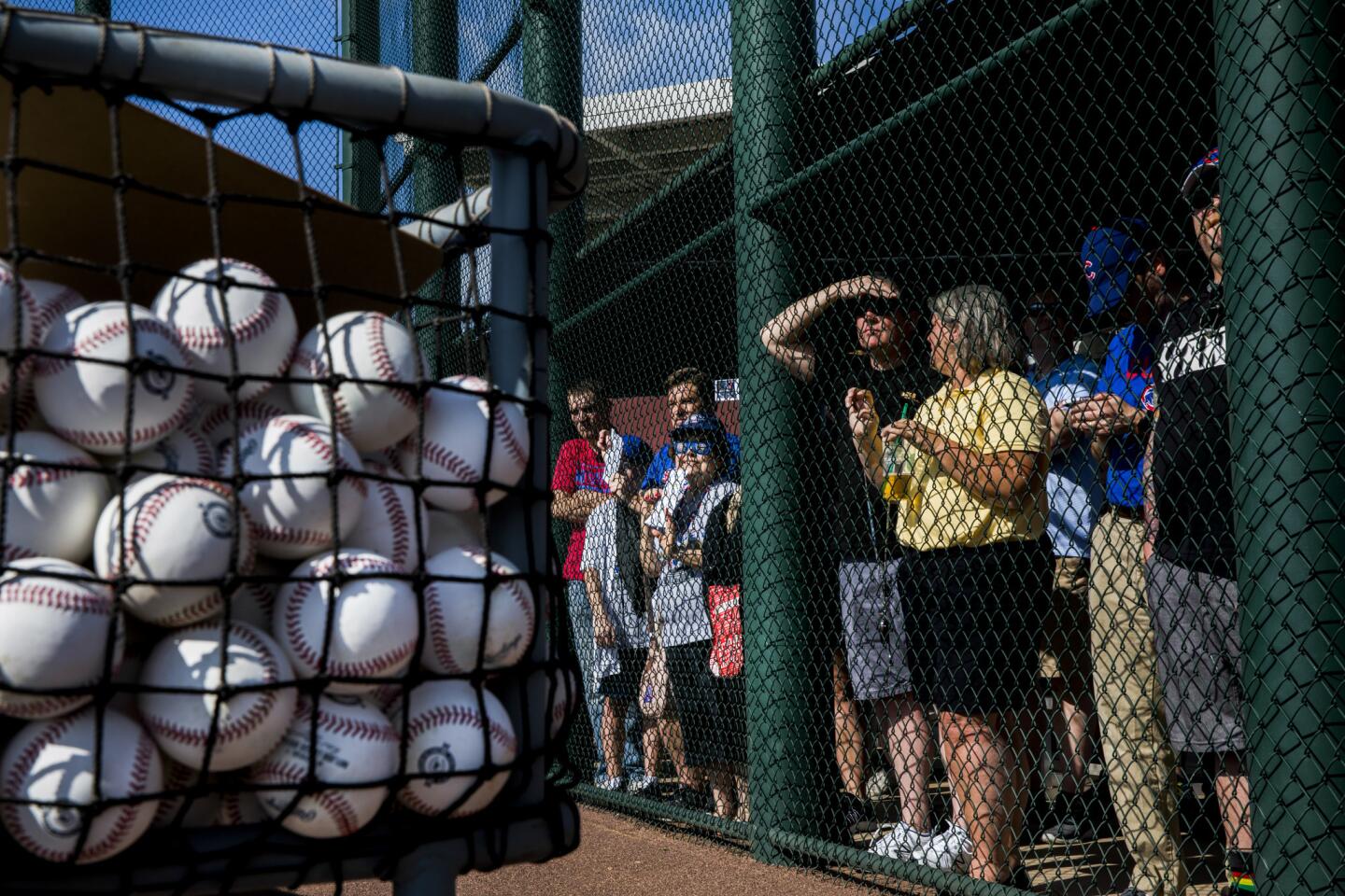 ct-cubs-arrive-at-spring-training-photos-039