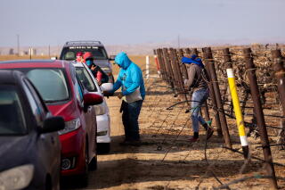 Farmworkers pack up to leave after a day working in a vineyard