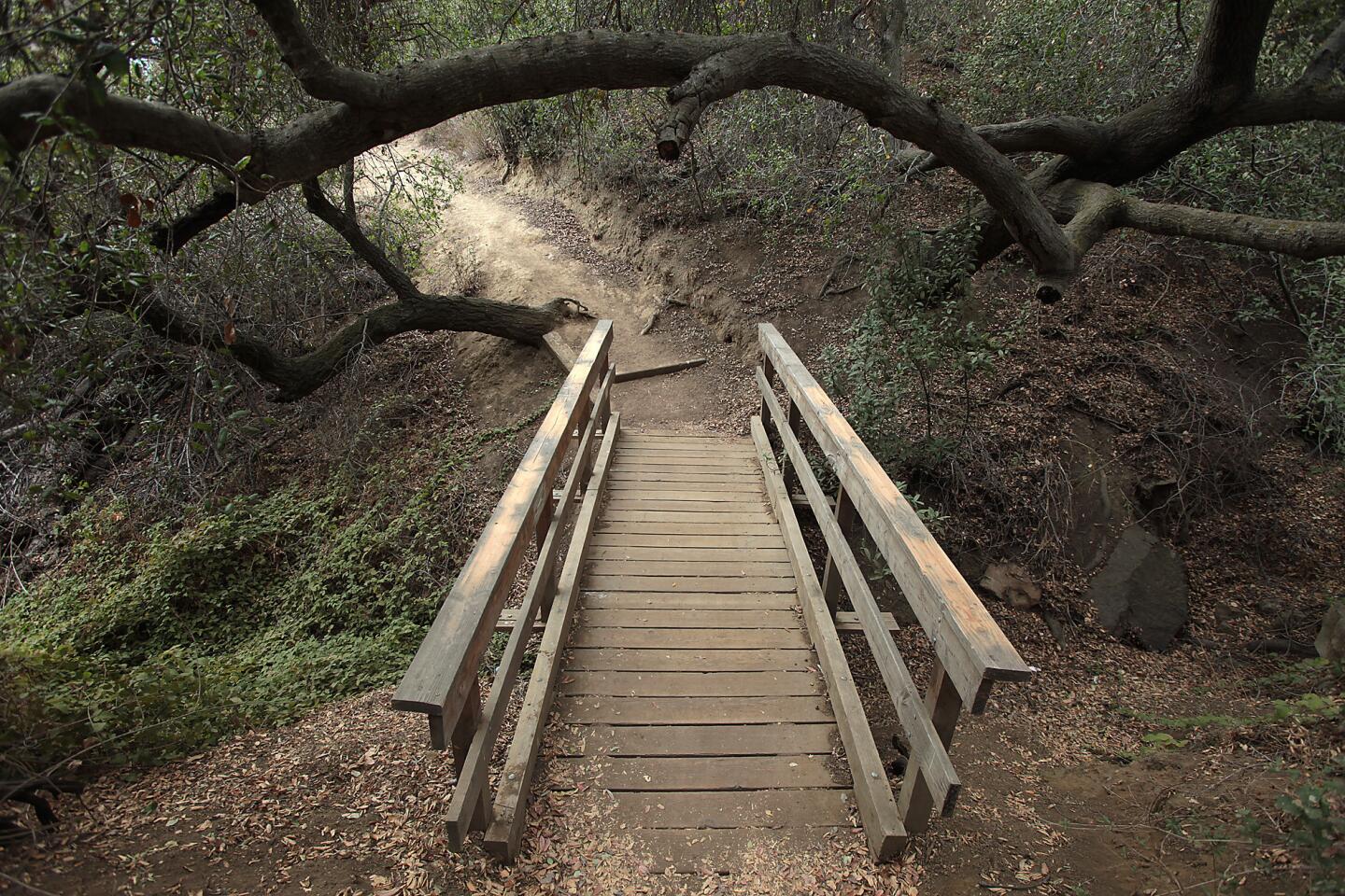 Best Guide to Hike Paradise Falls, an LA-Area Hidden Gem