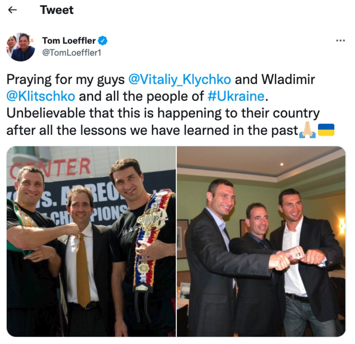 Vitaliy Klychko and Wladimir Klitschko.