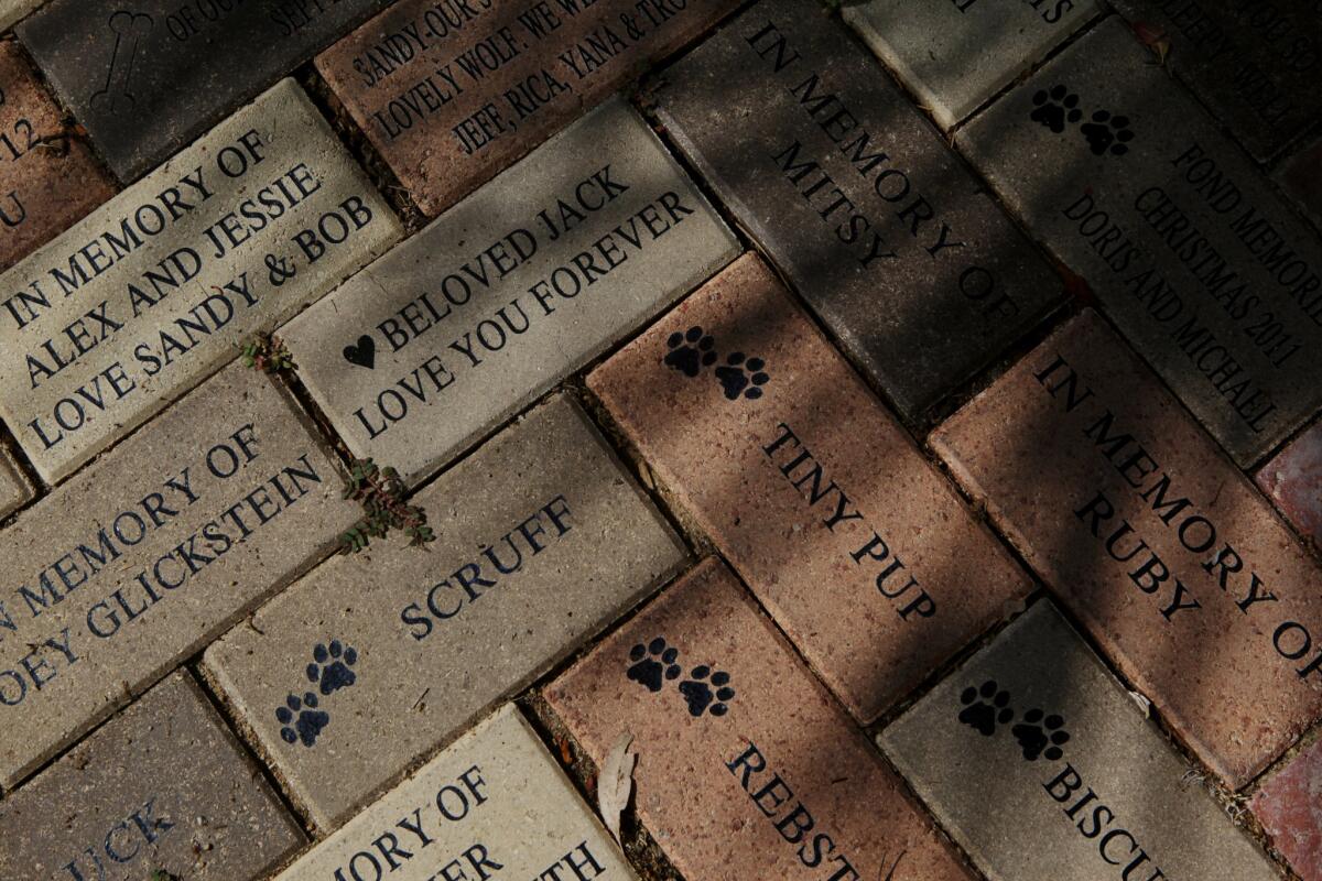 Memorial bricks cover the lawn of the Los Angeles Pet Memorial Park. Owners who bury their pets there can choose to write the names of their pets and messages on the bricks.