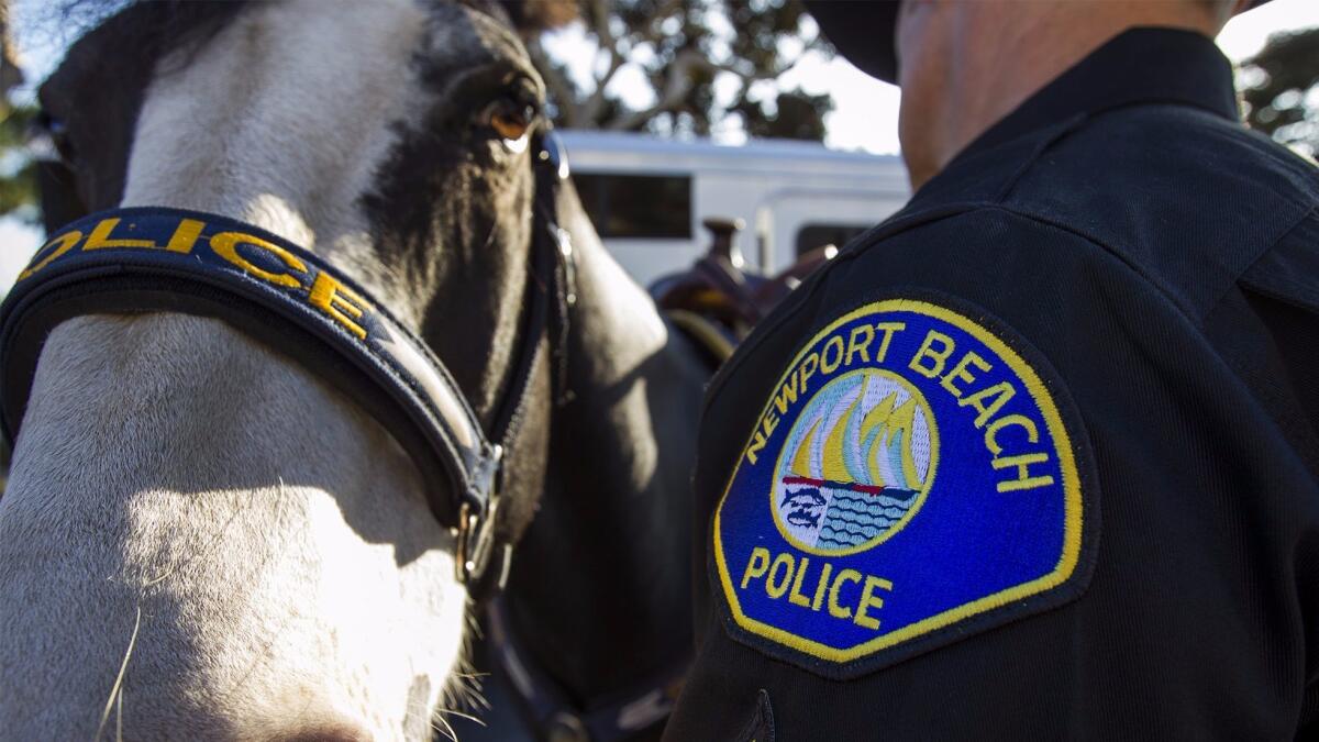 Officer Matthew Graham and his horse, Stogie, are part of the Newport Beach Police Department mounted unit.