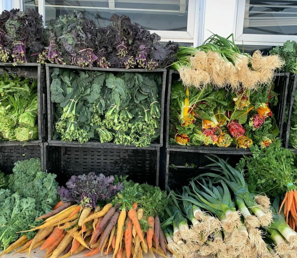The La Jolla Open Aire Market provides a variety of organic and conventional produce from 30 farmers.