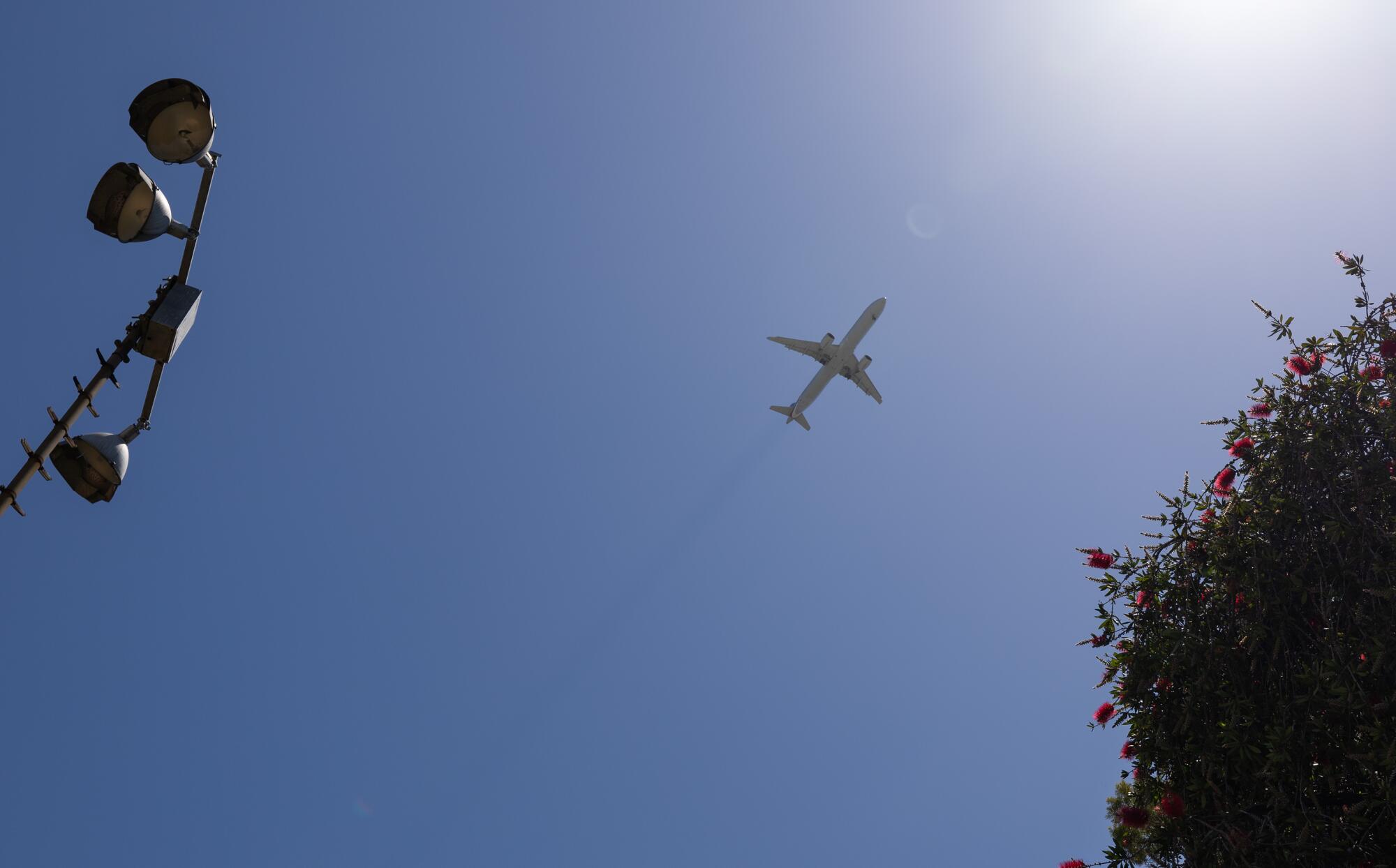 A jet flies overhead, seen from the ground, with a bush and park lighting in the foreground. 