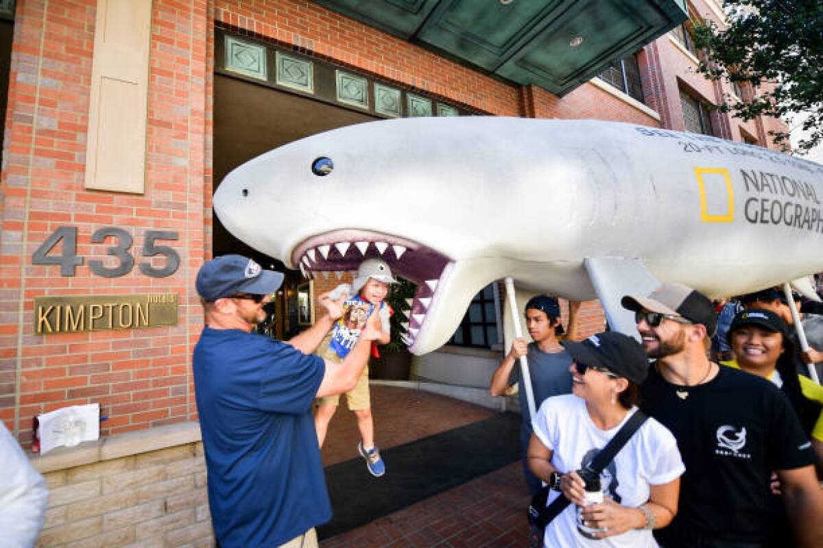 How Nat Geo's giant SharkFest play at ComicCon tried to overpower