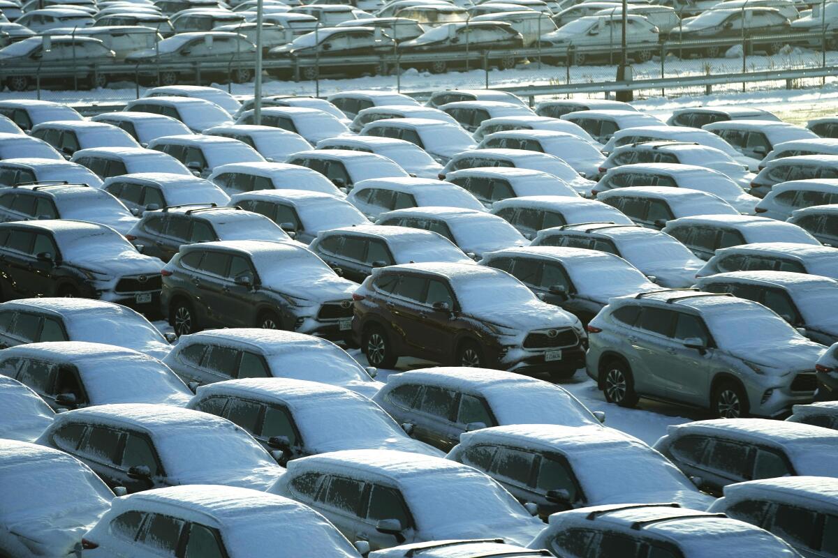 Nieve cubre vehículos en el estacionamiento de un negocio de alquiler vehicular