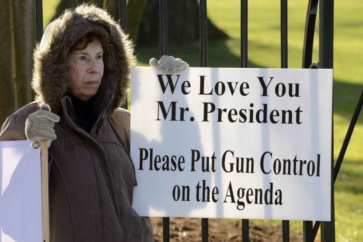 A supporter of gun control is seen standing outside the White House in Washington D.C. A host of sensible laws have been proposed over the years that would make it harder for dangerous people to obtain guns, or which would ban the kind of guns that are good only for mass killing.