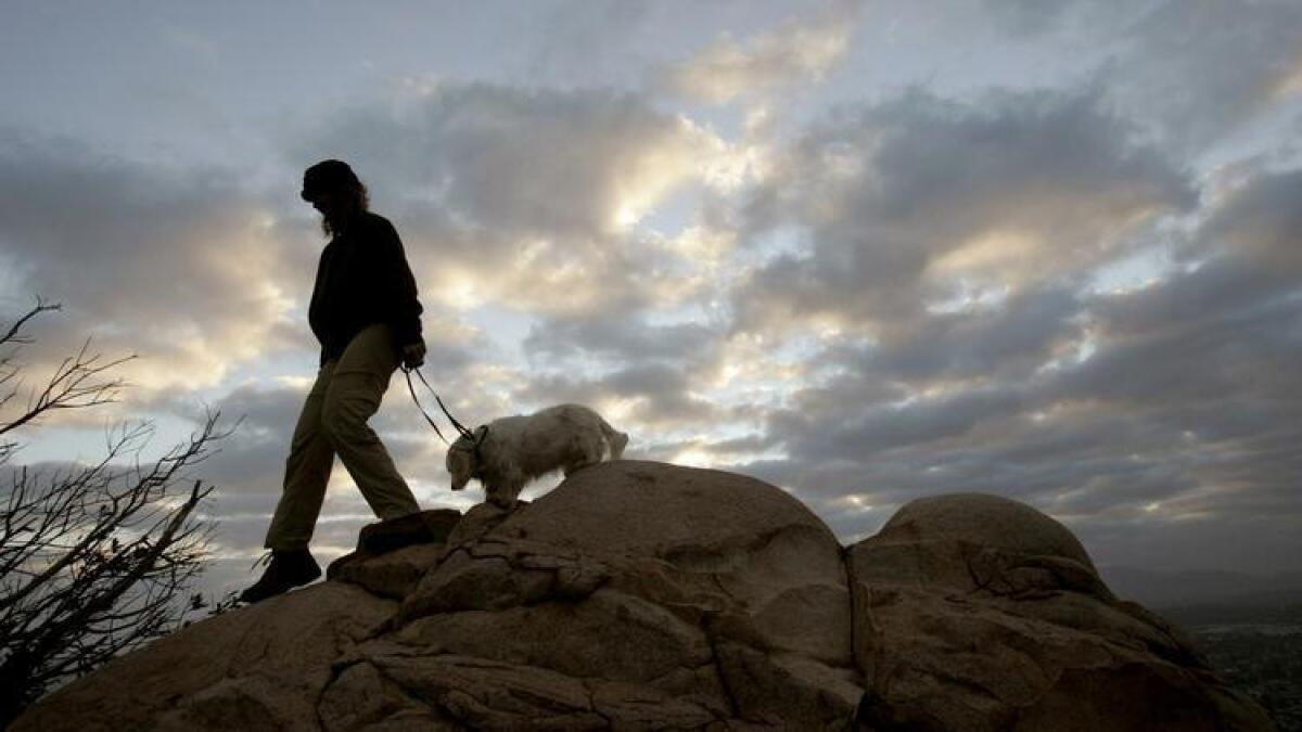 Dogs are allowed at Cowles Mountain, but must be on a leash. Be sure to bring lots of water for four-legged friends as temperatures can sky-rocket on this trail.