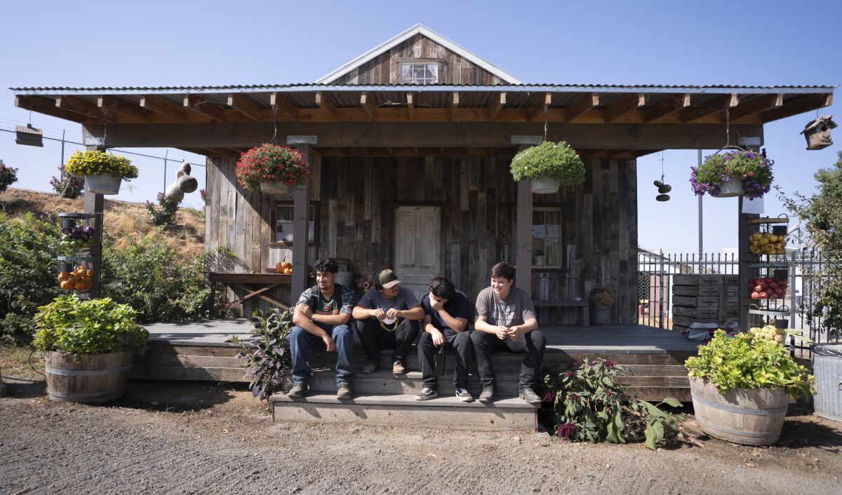 Four teenage boys sit on the steps of a wooden building surrounded by plants