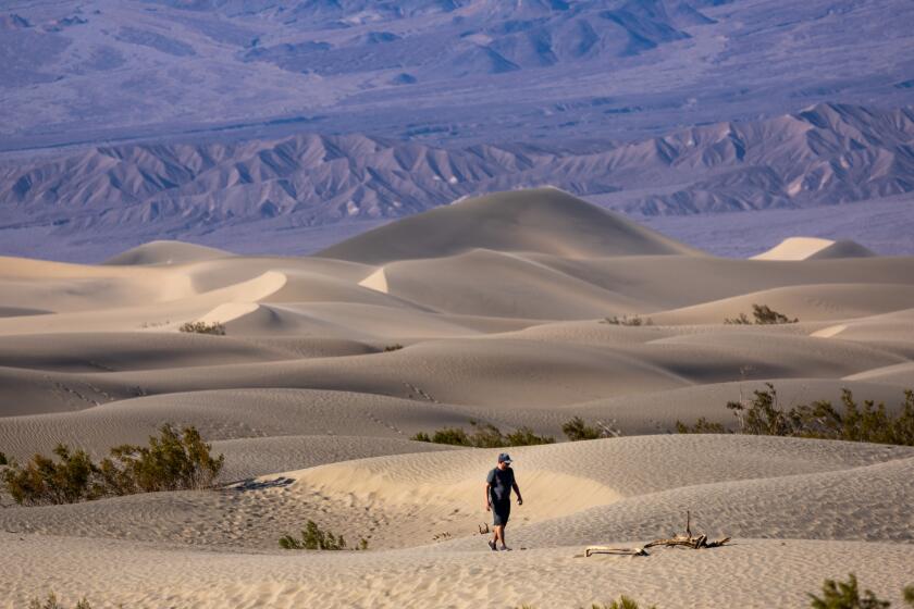 Death Valley National Park, CA - July 08: A man hikes out onto the Mesquite Flat Sand Dunes in Death Valley National Park where temperatures were as high as 125 degrees on Monday, July 8, 2024 in Death Valley National Park, CA. (Brian van der Brug / Los Angeles Times)