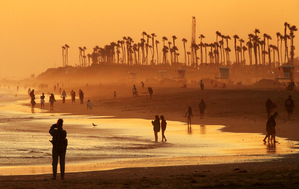 Silhouettes of beachgoers are scattered along the water line on a beach. Palms line the horizon. 