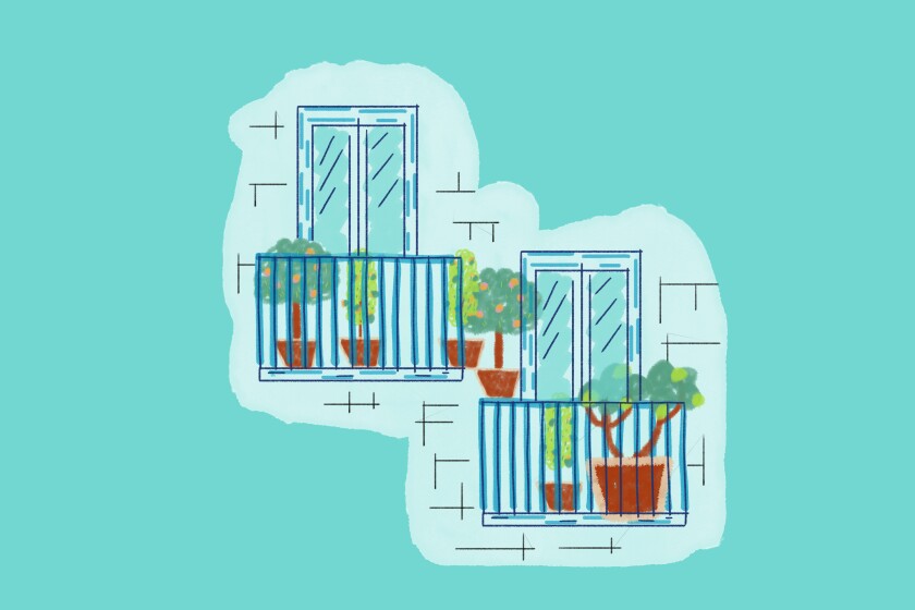 Illustration of fruits growing in pots on a balcony