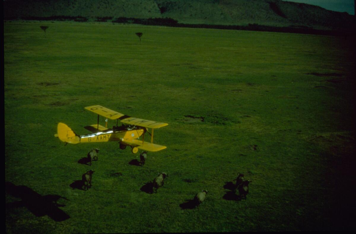 A biplane fly over a herd of elephants in a scene from the movie “Out of Africa” (1985).