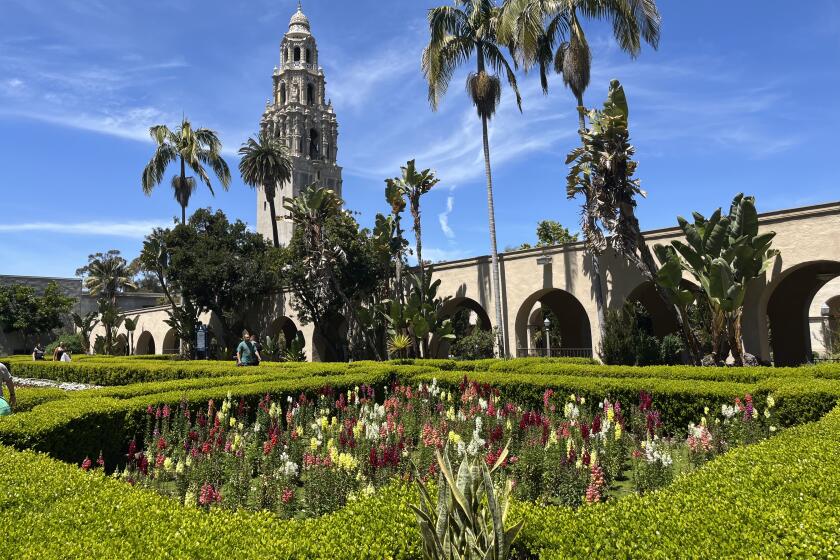 The view of the California Tower from the Alcazar Garden in Balboa Park.