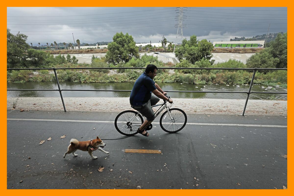 A bicyclist, and his dog, uses the bike path across the Los Angeles River