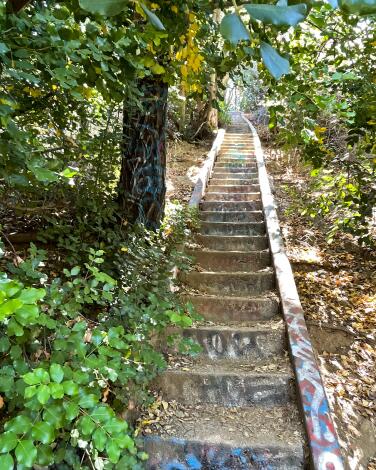 A long staircase winds up a trail surrounded by full trees.