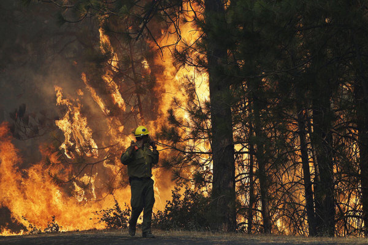 Firefighter A.J. Tevis watches the flames of the Rim Fire near Yosemite National Park.