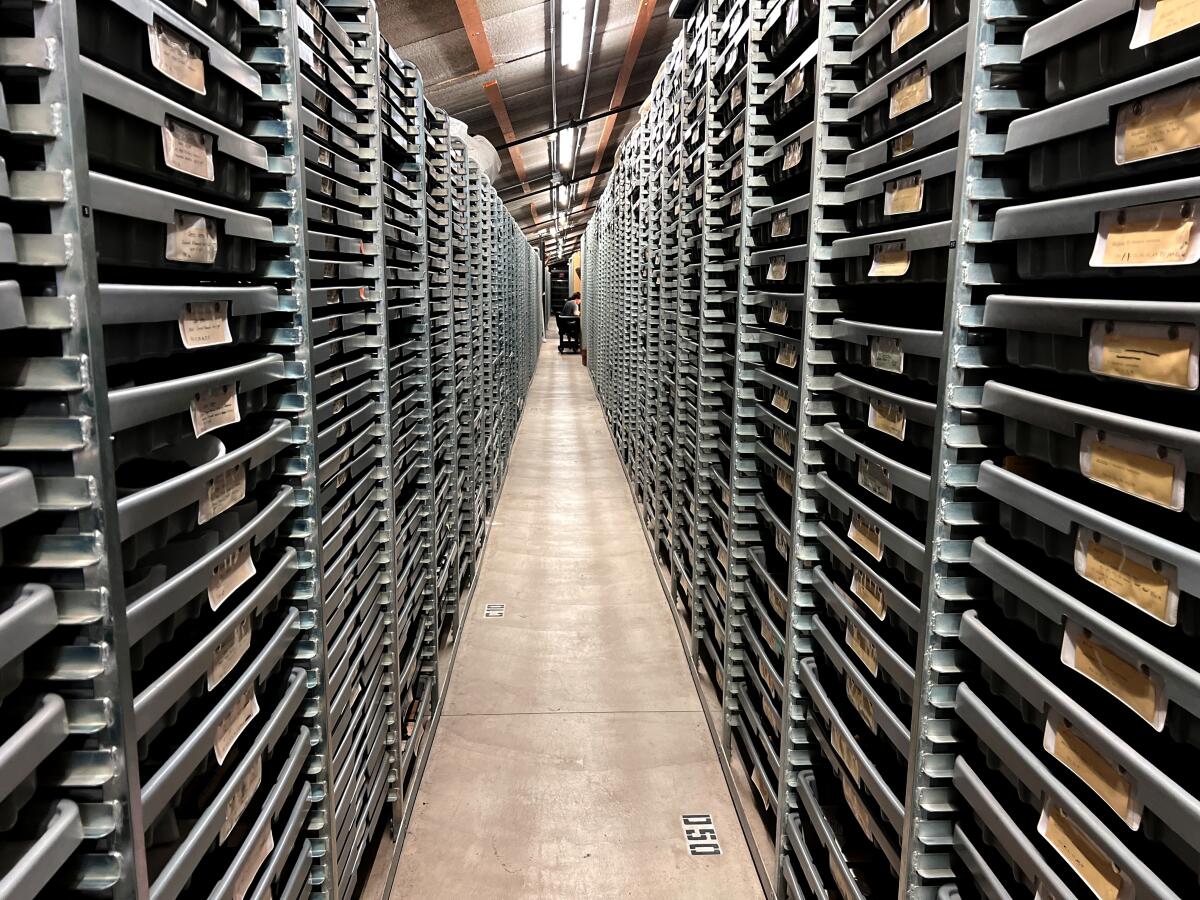 Floor-to-ceiling shelves of ancient animal bones fill the La Brea Tar Pits museum collection.