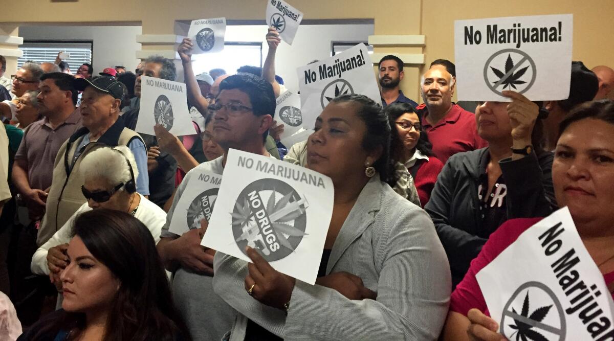 Some Maywood residents hold signs of a marijuana plant crossed over with the words "No Marijuana" at the City Council meeting.