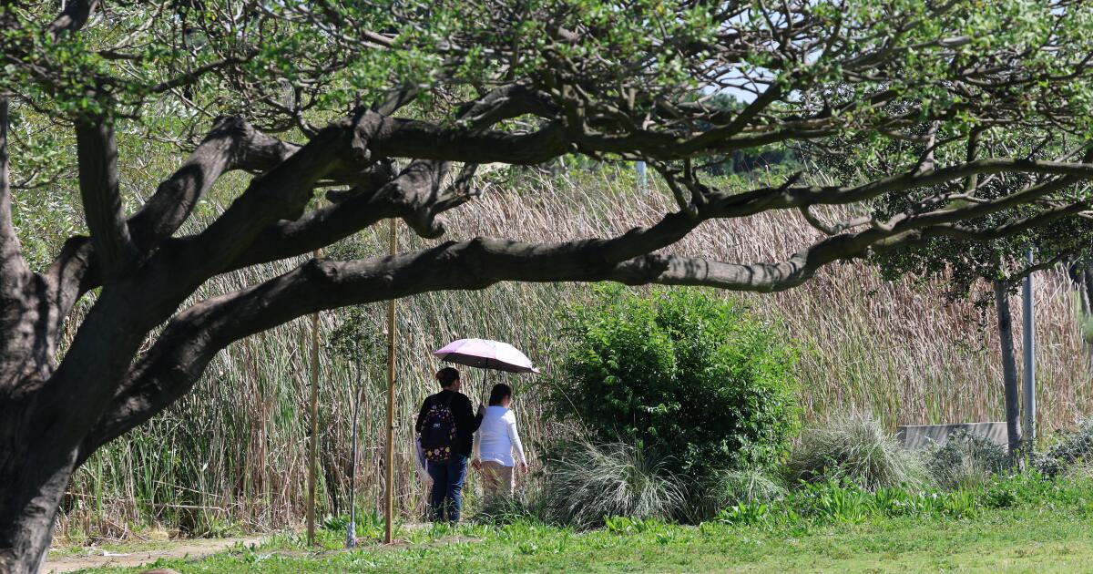 Onda de calor massiva atinge SoCal. Temperaturas recordes são esperadas em Los Angeles