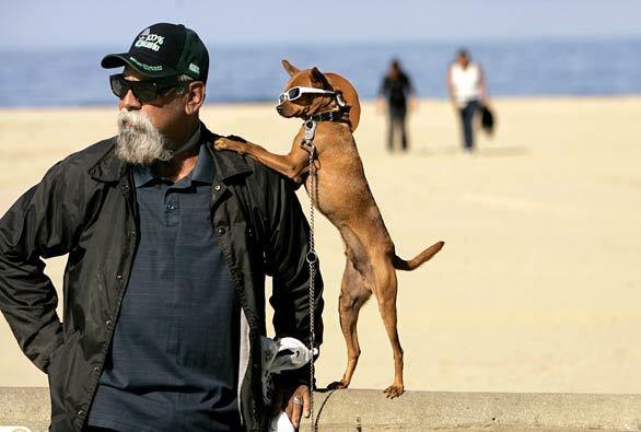 Gardena residents Joe Martinez and his 2-year-old Chihuahua/Doberman mix, Killer, hang out on the strand during a visit to Hermosa Beach.